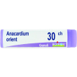 anacardium orient.dose  30ch