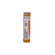 anacardium orient 15ch gr