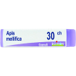 apis mell.dose  30ch