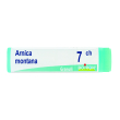 arnica montana 7ch globuli monodose boiron