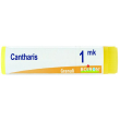 cantharis mk gl 1g