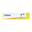 cantharis mk gl