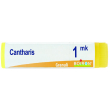 cantharis*glob mk