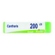cantharis 200ch globuli monodose boiron