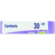 boiron cantharis 30ch gl 1g