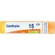 boiron cantharis 15ch gr 4g
