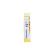 colocynthis 15ch gr