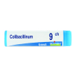 colibacillinum 9ch globuli monodose boiron