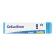 colibacillinum 9ch gl 1 pz globuli