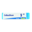 boiron colibacillinum 9ch granuli 4 grammi