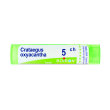 crataegus oxyacantha 5ch granuli multidose boiron
