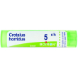 crotalus horridus 5ch gr