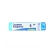 boiron cyclamen europ 9ch gr 4g