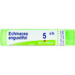boiron echinacea angust 5ch gr 4g