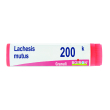 lachesis mutus 200k globuli monodose boiron