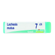 lachesis mutus 7ch globuli monodose boiron
