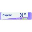 bo.pyrogenium 30ch dose