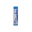 boiron sepia officinalis 9 ch dose unica granuli omeopatici per benessere di corpo and mind, the nat