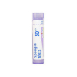 bo.spongia tosta 30ch tubo