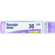 spongia tosta tubo  30ch