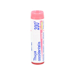 thuya occidentalis granuli omeopatici 200 k tubo da 1 gr - boiron