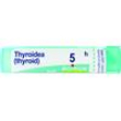thyroidinum tubo  5ch