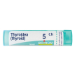 thyroidea 5ch gr