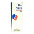 boiron ribes nigrum tintura madre (60 ml)