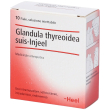 glandula thyroidea suis-injeel 10 fiale da 1,1ml - medicinale omeopatico per il benessere tiroideo