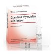 glandula thyre suis injeel 10 fiale heel