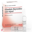heel glandula thyroidea suis injeel 10 fiale