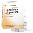 heel euphorbium compositum 10fl 2,2 ml