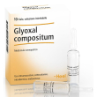 heel glyoxal compostium 10fl 2,2 ml