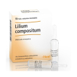 lilium comp 10f 2,2ml heel