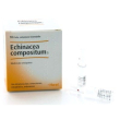 guna heel echinacea compositum s soluzione iniettabile 10 fiale