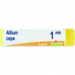 boiron allium cepamk granuli - rimedio omeopatico globuli