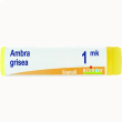 bo.ambra grisea        mk