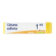 calcarea sulfur mk gl 1 pz globuli