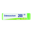 enterococcinum 200ch globuli monodose boiron