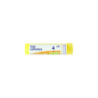bo.calcarea carb.4ch tubo