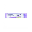 boiron cyclamen europ 30ch gr 4g