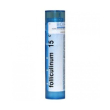boiron folliculinum 15ch granuli tubo