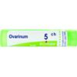 ovarinum tubo  5ch