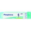 phosphorus tubo   6ch