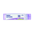 bo.sabal serr.30ch tubo