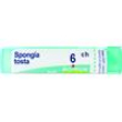 spongia tosta tubo   6ch