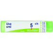 uva ursi 5ch gr bo