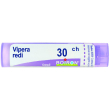 vipera redi 30ch gr