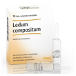 ledum compositum heel 10 fiale 2,2ml