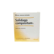 guna-heel solidago compositum s medicinale omeopatico 10 fiale